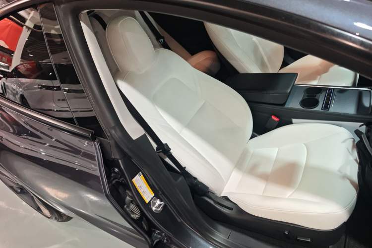 Used Tesla Model 3 2021 Standard Range Rear-Wheel Drive Upgraded Version 3D6
