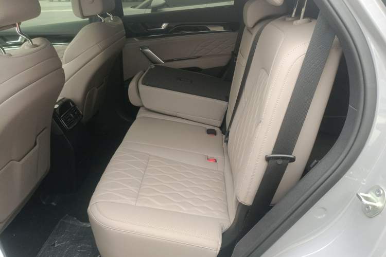 Used BYD Tang New Energy 2025 Intelligent Driving Version DM-i 115KM Flagship Edition Left Rear Seat