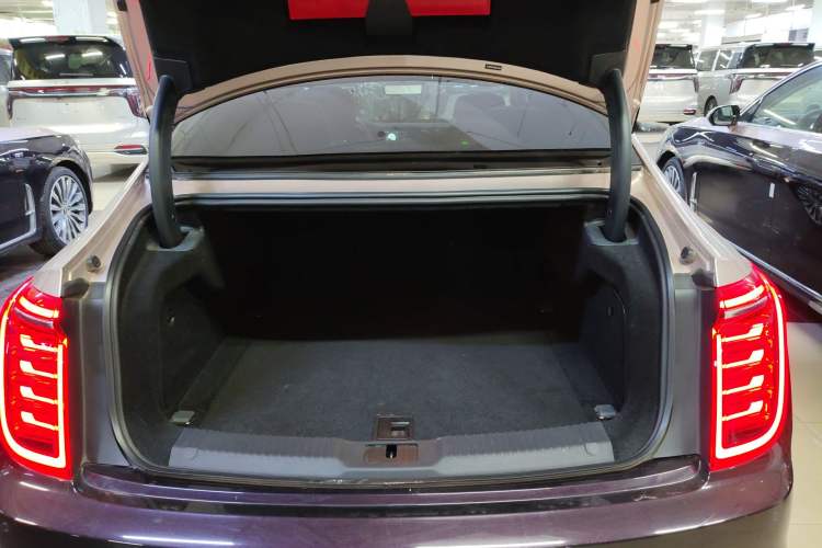 Used Hongqi H9 2020 3.0T Smart Connect Flagship Four-Seat Version
