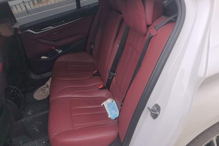 Used BMW 5 Series 2018 Restyled 530Li Leading Edition M Sport Package
