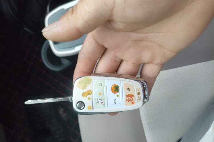 Used Chery QQ Ice Cream 2024 Edition Youth Version 205km Sundae Vehicle Key