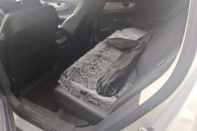 Used Hongqi E-QM5 2024 610 km PLUS Left Rear Seat