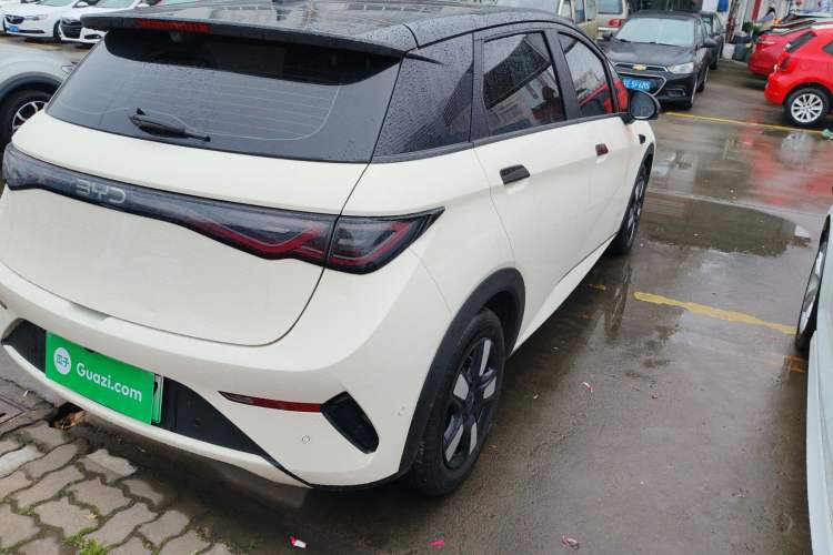 Used BYD Dolphin 2025 Intelligent Driving Version 410 km Fashion Edition Right Rear Taillight