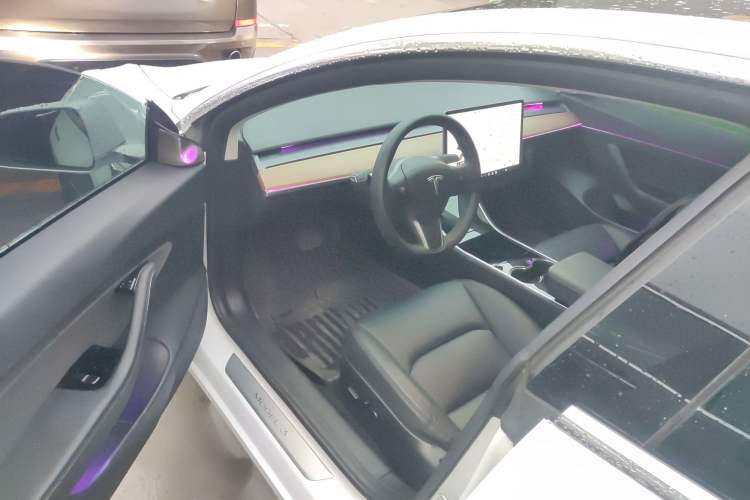 Used Tesla Model 3 2020 Standard Range Rear-Wheel Drive Upgraded Version
