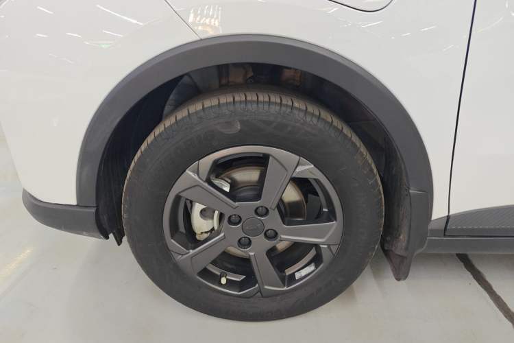 Used Geometry E 2022 320KM Cute Tiger 5-Seater