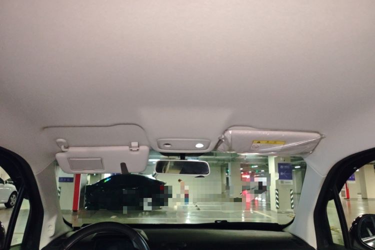 Used Leapmotor T03 2023 310 Lite Edition Headliner