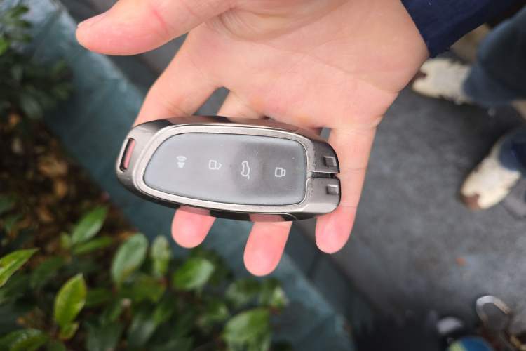 Used Haval H Dog 2023 2.0T Two-Wheel Drive Chaoye Version Plus
