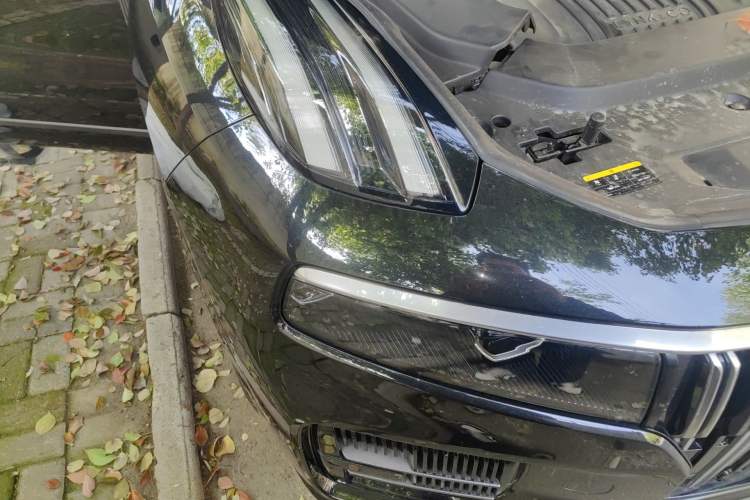 Used Lynk & Co 09 2024 2.0T Four-Wheel Drive Sport Edition Five Seats
