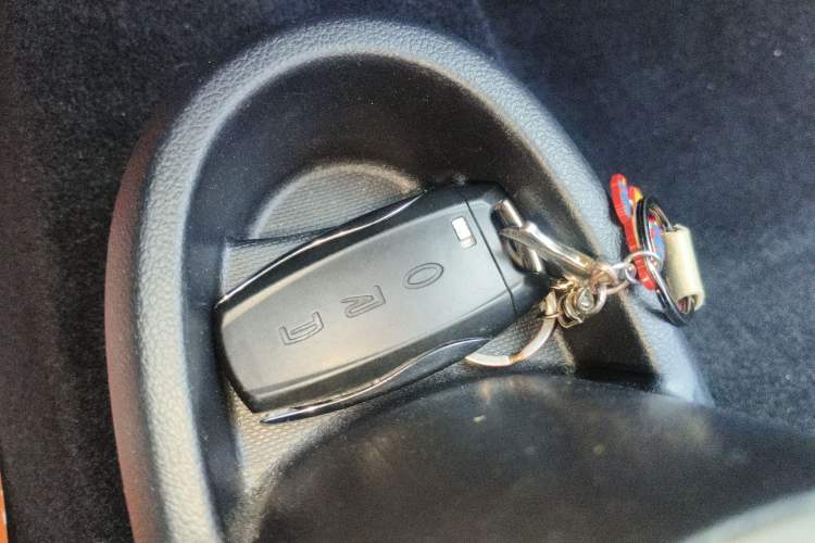 Used ORA Black Cat 2021 301 km Basic Version