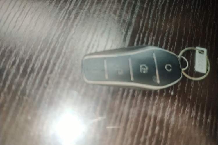 Used BYD Seal 06 New Energy 2024 DM-i 120KM Flagship Model