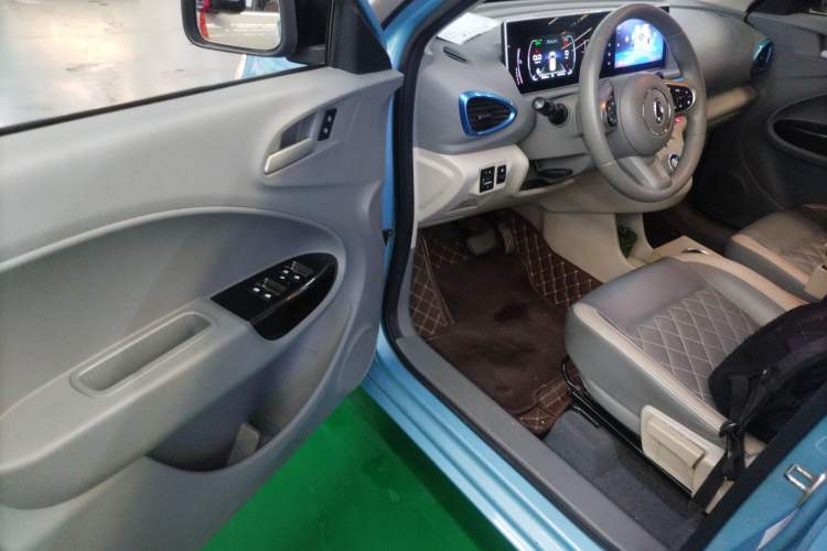 Used ORA White Cat 2020 401 km Long-Range Version