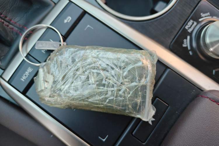 Used Lexus RX 2021 300 Four-Wheel Drive Special Edition