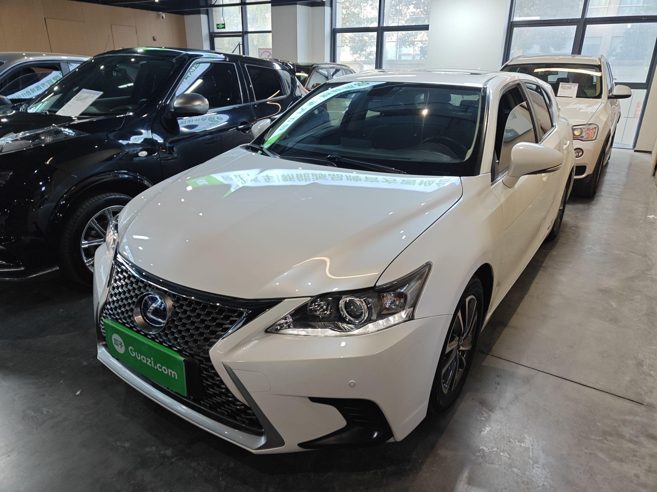 Parte inferior delantera