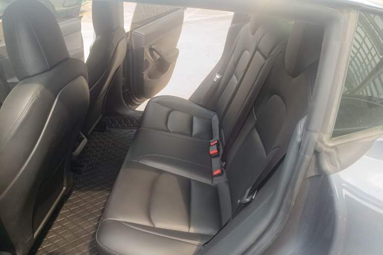 Used Tesla Model 3 2020 Standard Range Rear-Wheel Drive Upgraded Version Left Rear Seat