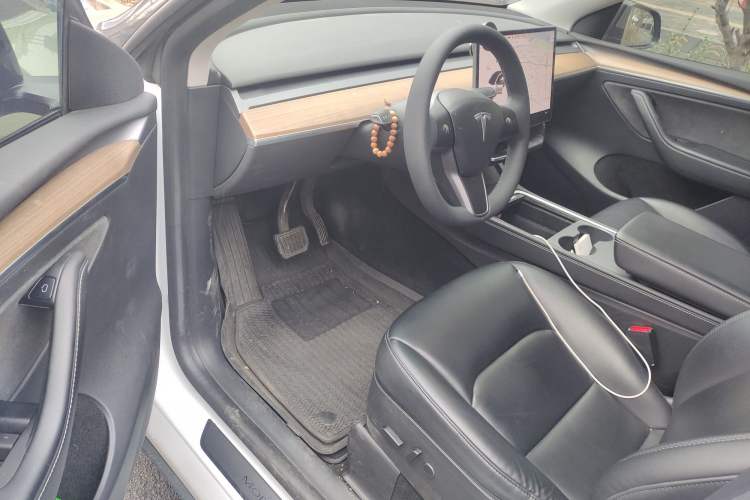 Used Tesla Model Y 2021 Standard Range Rear-Wheel Drive Version
