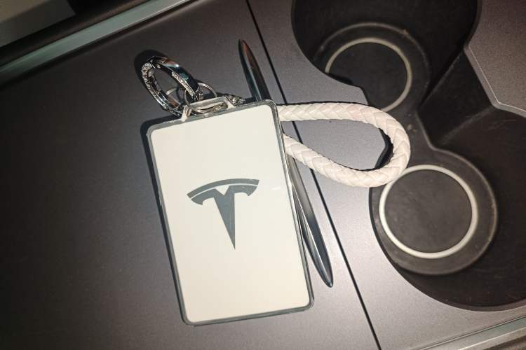 Used Tesla Model Y 2022 Rear-Wheel-Drive Version