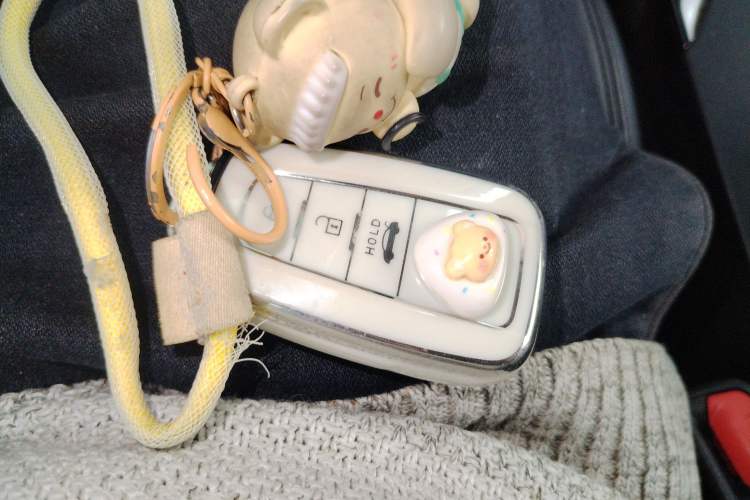 Used Toyota Corolla 2021 Dual-Motor 1.8L E-CVT Elite Edition
