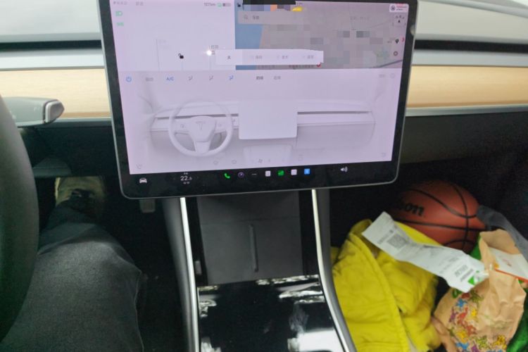 Used Tesla Model 3 2020 Standard Range Rear-Wheel Drive Upgraded Version