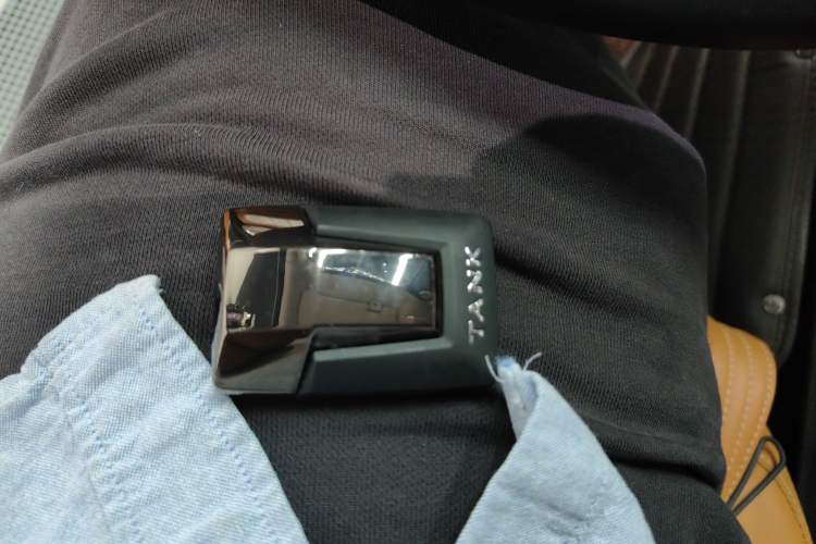 Used Tank 500 2022 3.0T Business Edition "Creation Realm" Design 5-Seater
