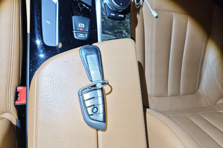 Used BMW 5 Series 2019 530Li Leading Model M Sport Package
