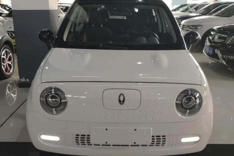 Used ORA Black Cat 2021 351 km Standard Version Front