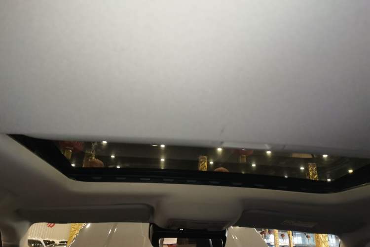 Used Tank 300 2024 2.0T Conqueror Headliner