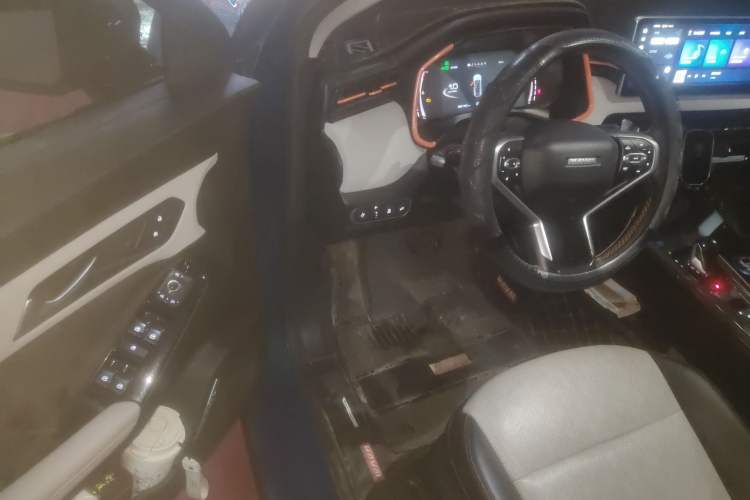 Used Haval LHERY 2021 High-Performance Version 1.5T Golden Rabbit