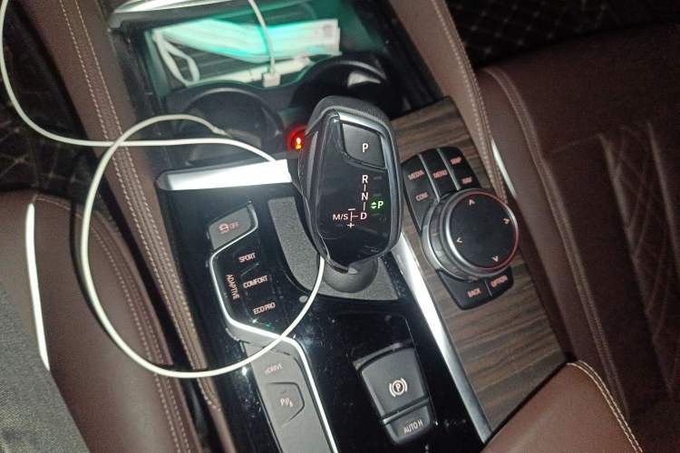 Used BMW 5 Series New Energy 2019 Updated Version 530Le Luxury Package
