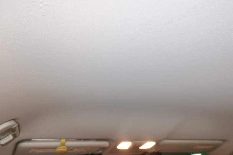 Used Nissan Patrol 2018 4.0L Automatic 7-Seater Middle East Version Headliner