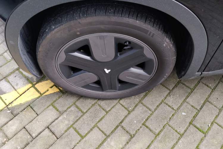 Used firefly 2025 Illuminated Edition
