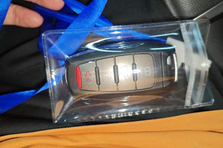 Used Haval H6 2023 National Trend Edition 1.5T Automatic Urban Version