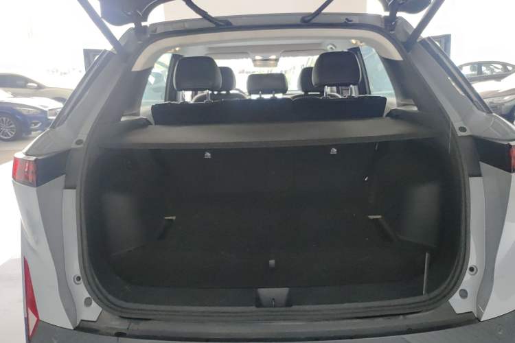 Used Venucia VX6 2023 520 Max Trunk