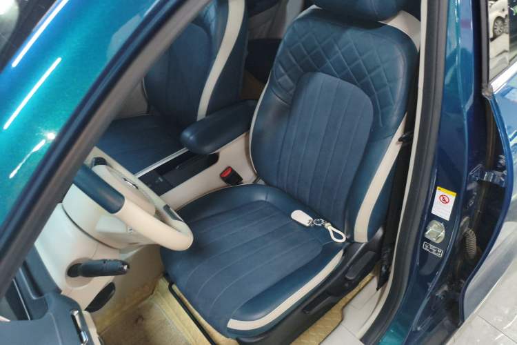 Used ORA Good Cat 2021 400km Standard Range Venus Edition Lithium-Ion Battery
