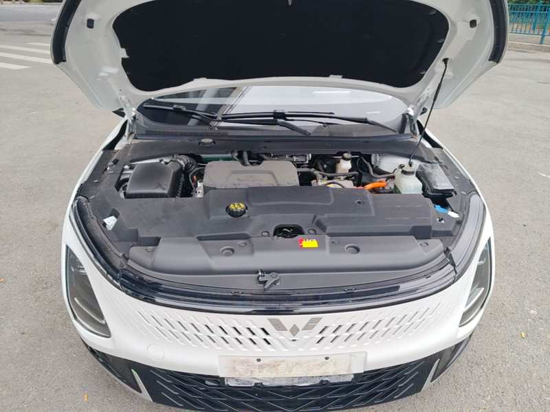 Used Wuling Xingguang 2025 150 km Smart Advanced Version — 19