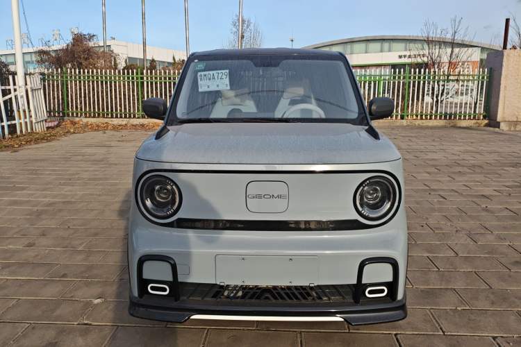 Used Geely Galaxy Panda 2025 210km Panda Kart
