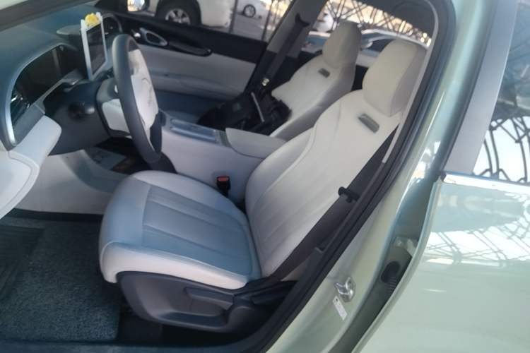 Used Geely Galaxy Geome 2025 310km Youth Edition Left Front Seat