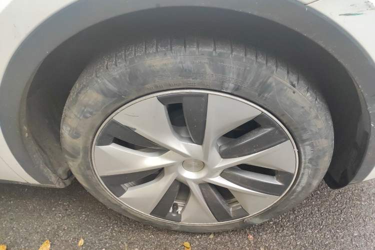 Used Tesla Model Y 2021 Standard Range Rear-Wheel Drive Version
