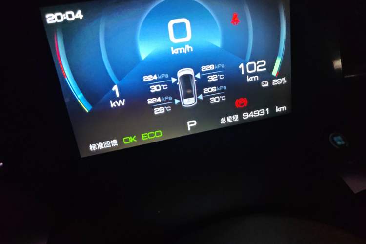 Used BYD Dolphin 2023 420 km Free Version Odometer Close Up