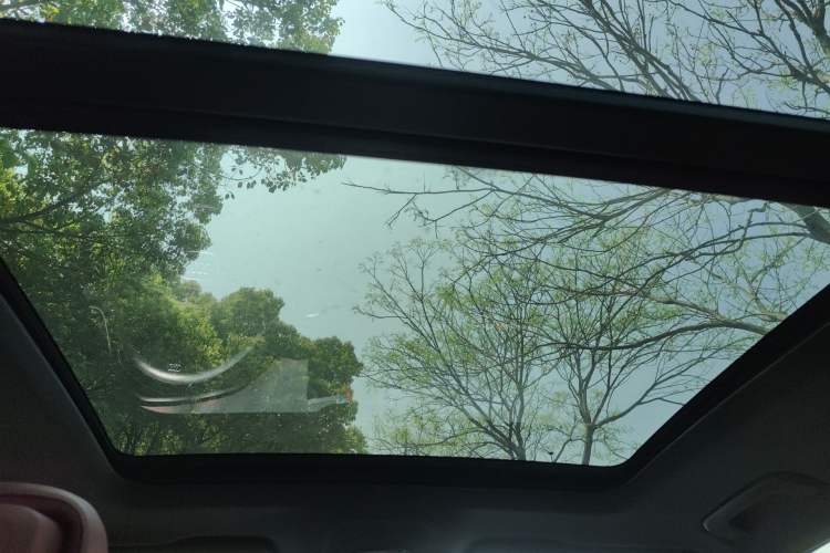 Used Audi Q5L 2024 40 TFSI Luxury Dynamic Edition Headliner