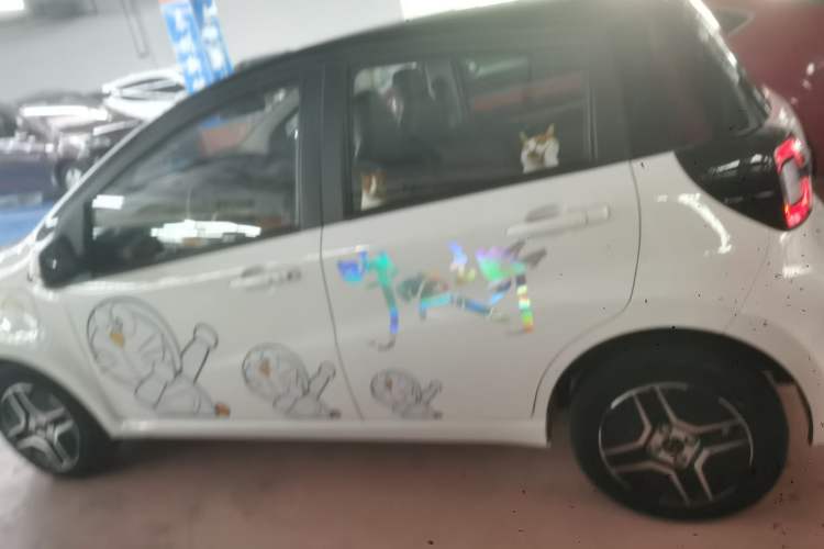 Used SOL E10X 2022 Flower Fairy Design Four-Leaf Clover