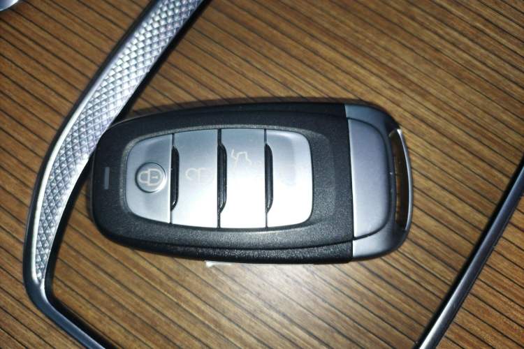 Used Hongqi E-HS9 2021 460 km Range Flagship Edition Six-Seater
