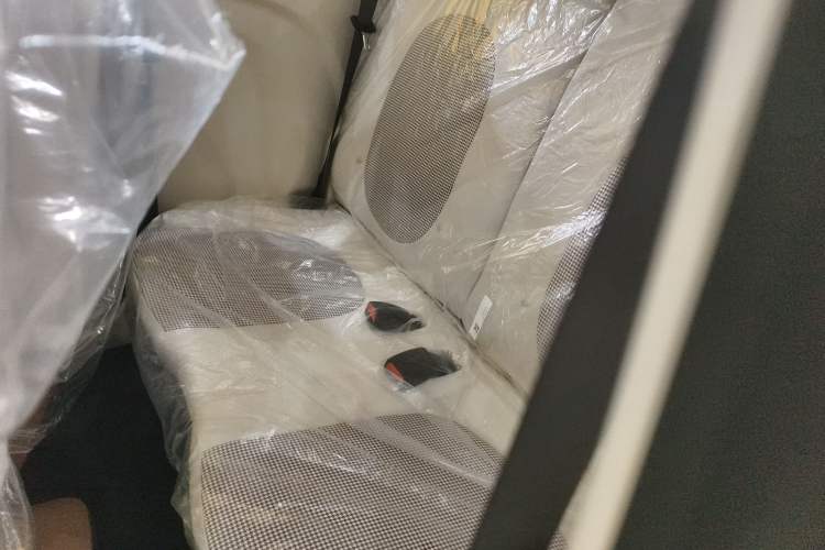 Used Bestune Pony 2026 Model 222km Agile Horse