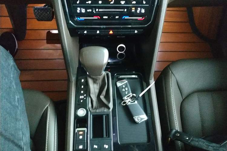 Used Volkswagen Viloran 2020 330TSI Luxury Edition