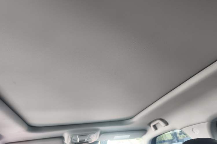 Used Haval H Dog 2023 2.0T Two-Wheel Drive Trendy Outdoor Edition Headliner