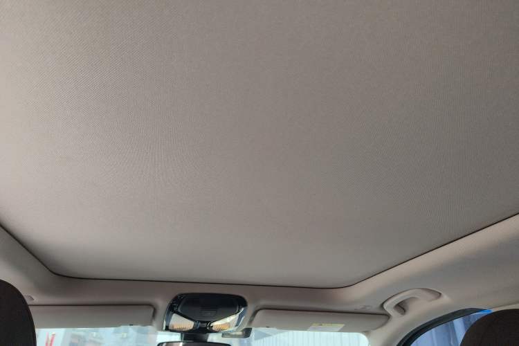 Used BMW 3 Series 2020 325Li First Edition Headliner