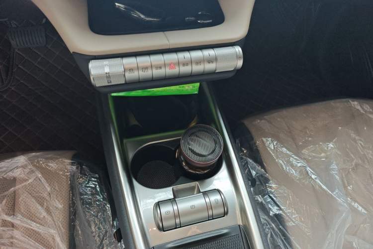 Used BYD Dolphin 2025 420km Free Edition Gear Lever
