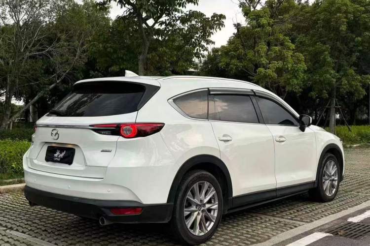 Used Mazda CX-8 2019 2.5L Four-Wheel Drive Deluxe Edition
