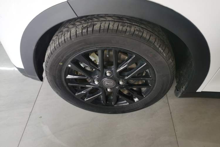 Used Chery Little Ant 2024 321km Love Edition