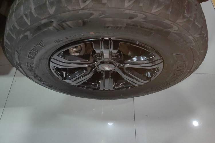 Used Tank 300 2024 2.0T Conqueror
