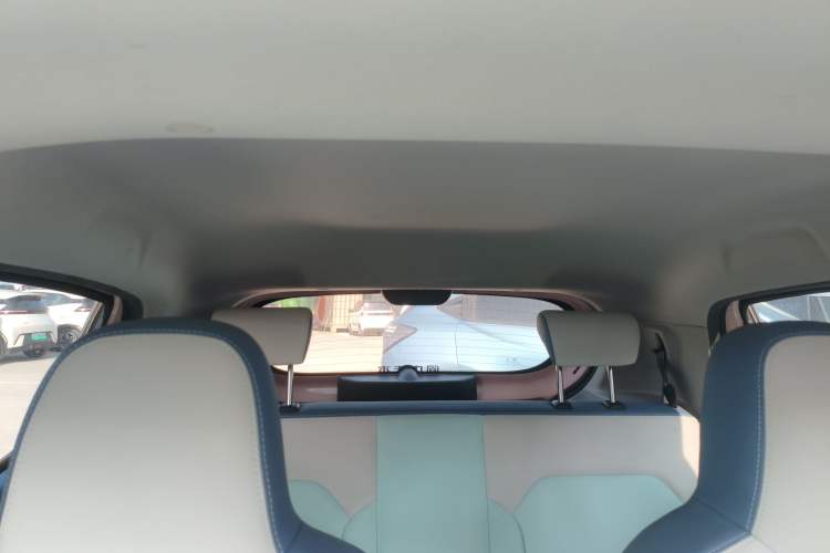 Used Dongfeng NAMMI EX1 2023 PRO Light Wind Edition Lightning Model